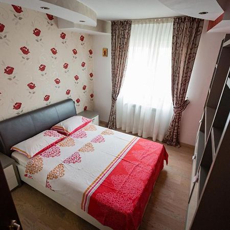 Apartament Danci. Borşa Zewnętrze zdjęcie