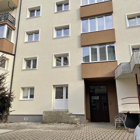 Apartament Danci. Borşa Zewnętrze zdjęcie