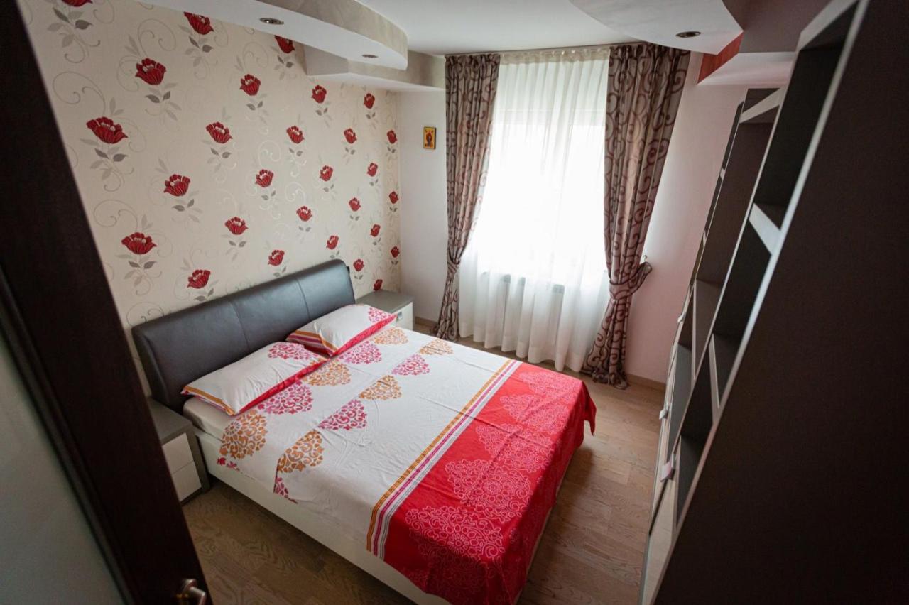 Apartament Danci. Borşa Zewnętrze zdjęcie
