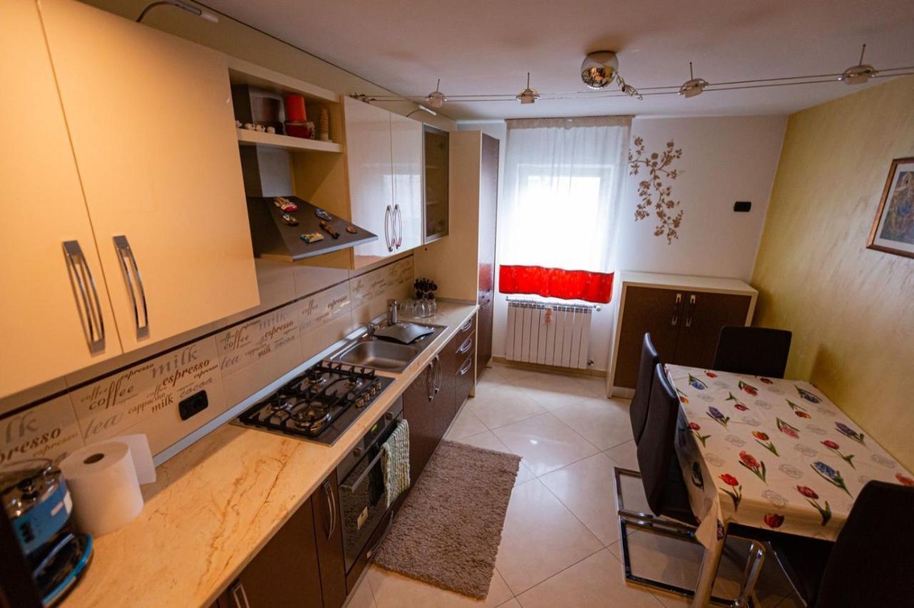 Apartament Danci. Borşa Zewnętrze zdjęcie